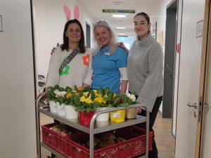 Sonnenstern Ostern HaW IMG_20260402_115418.jpg