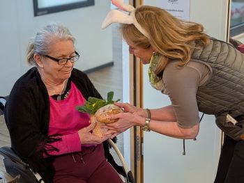 20250409 Sonnenstern Ostern HaW (1).jpg